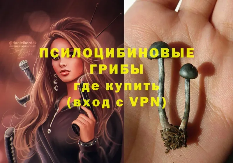 Псилоцибиновые грибы MAGIC MUSHROOMS  Череповец 